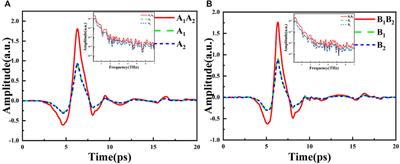 New Antenna for Detecting Polarization States of Terahertz